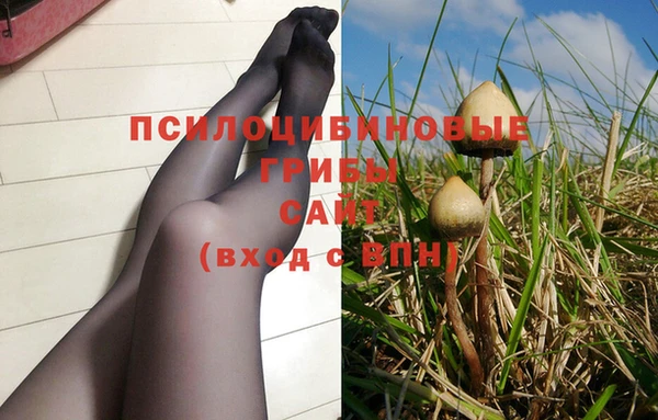 кокаин Богородицк